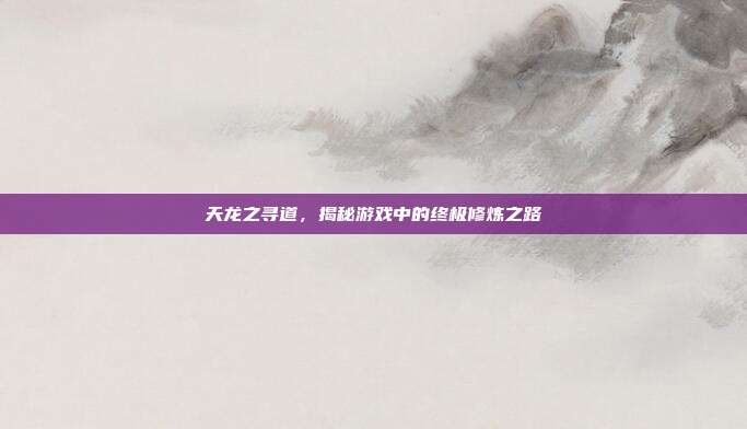 天龙之寻道,揭秘游戏中的终极修炼之路
