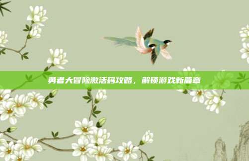 勇者大冒险激活码攻略,解锁游戏新篇章