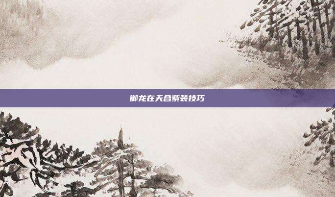 御龙在天合紫装技巧