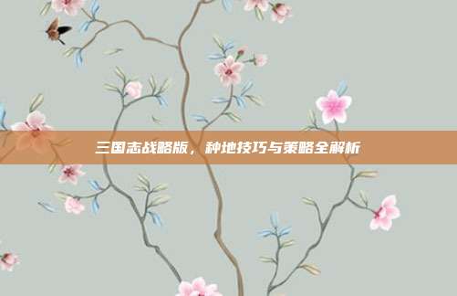 三国志战略版,种地技巧与策略全解析