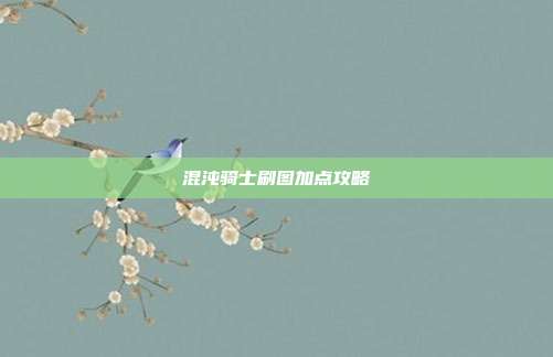 混沌骑士刷图加点攻略