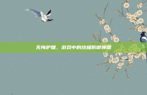 无悔护腿,游戏中的终极防御神器