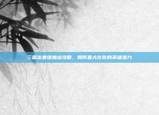 三国志姜维加点攻略,如何最大化你的英雄潜力
