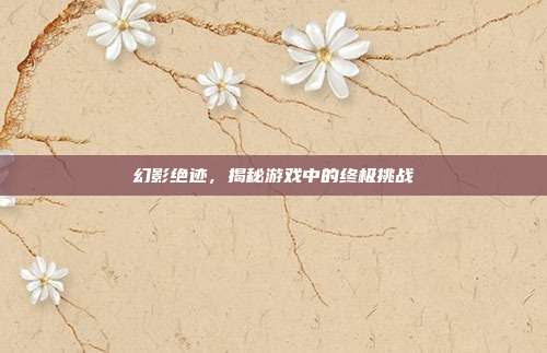 幻影绝迹，揭秘游戏中的终极挑战