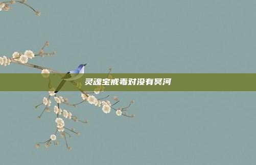 灵魂宝戒毒对没有冥河
