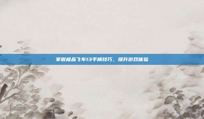 掌握极品飞车13手柄技巧,提升游戏体验