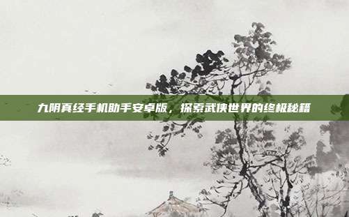 九阴真经手机助手安卓版,探索武侠世界的终极秘籍