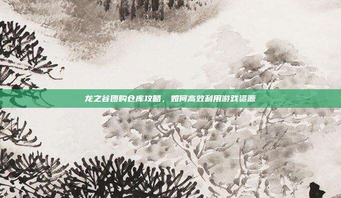 龙之谷团购仓库攻略,如何高效利用游戏资源