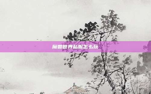 魔兽世界私服怎么玩