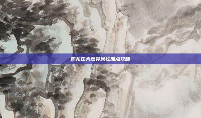 御龙在天双斧属性加点攻略