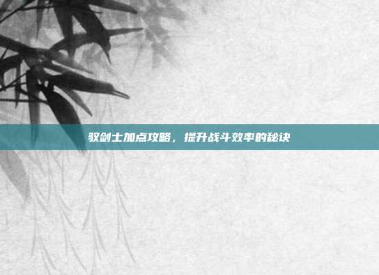 驭剑士加点攻略,提升战斗效率的秘诀