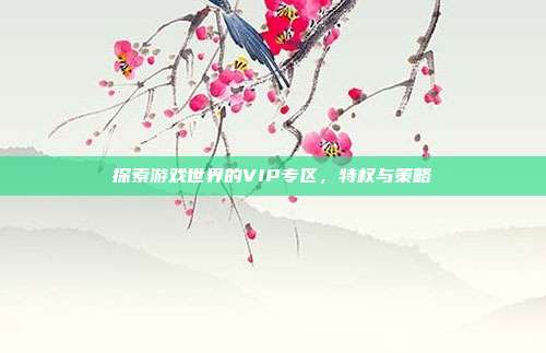 探索游戏世界的VIP专区,特权与策略