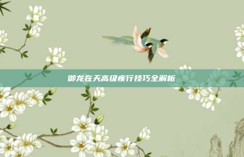 御龙在天高级疾行技巧全解析