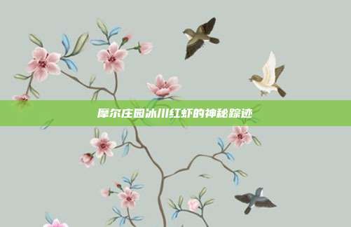 摩尔庄园冰川红虾的神秘踪迹