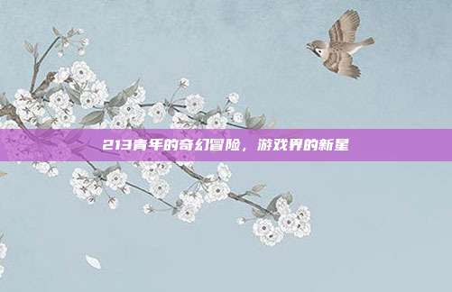 213青年的奇幻冒险,游戏界的新星