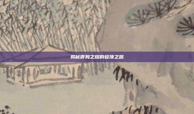 揭秘渡鸦之耀的登顶之路