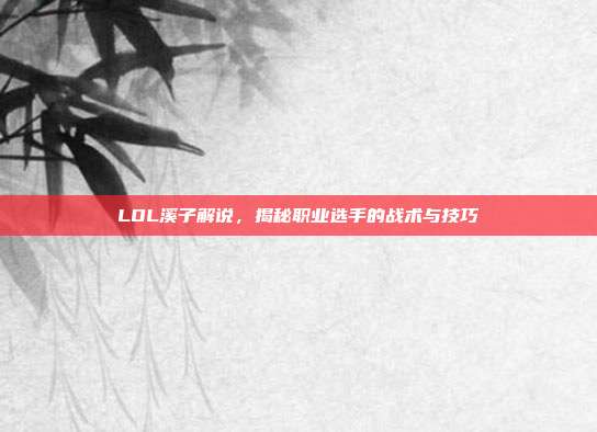 LOL溪子解说,揭秘职业选手的战术与技巧