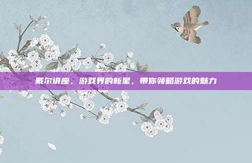 戴尔讲座,游戏界的新星,带你领略游戏的魅力