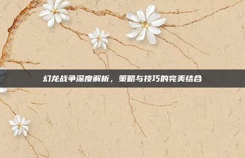 幻龙战争深度解析,策略与技巧的完美结合