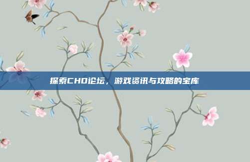 探索CHD论坛,游戏资讯与攻略的宝库