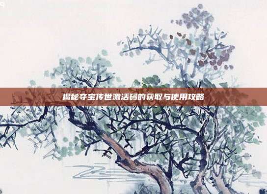 揭秘夺宝传世激活码的获取与使用攻略