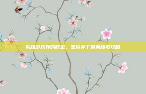 揭秘游戏界的救星,黑屏补丁的奥秘与攻略