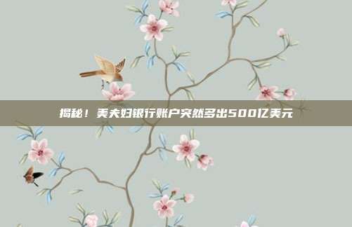 揭秘!美夫妇银行账户突然多出500亿美元