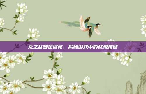 龙之谷彗星摆尾,揭秘游戏中的终极技能