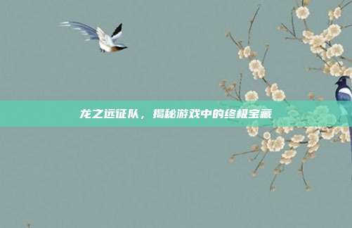 龙之远征队,揭秘游戏中的终极宝藏