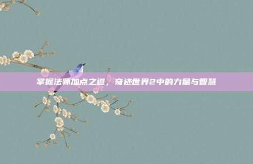 掌握法师加点之道,奇迹世界2中的力量与智慧