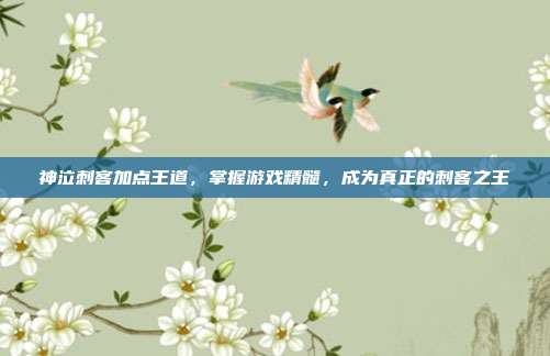 神泣刺客加点王道,掌握游戏精髓,成为真正的刺客之王