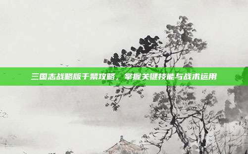 三国志战略版于禁攻略,掌握关键技能与战术运用