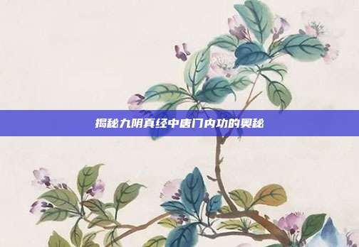 揭秘九阴真经中唐门内功的奥秘