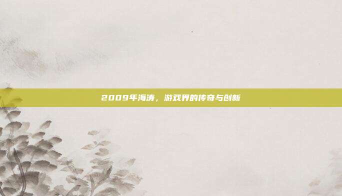 2009年海涛,游戏界的传奇与创新