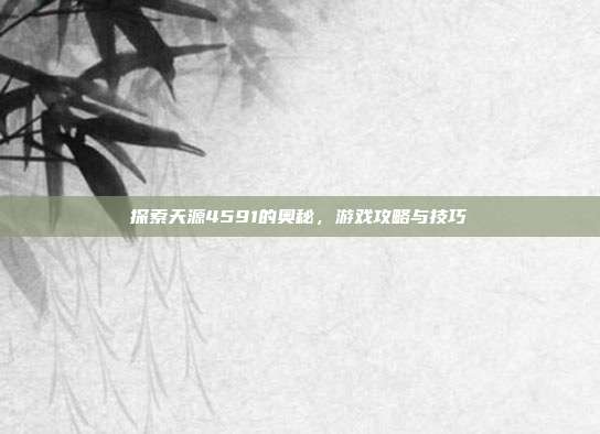 探索天源4591的奥秘,游戏攻略与技巧