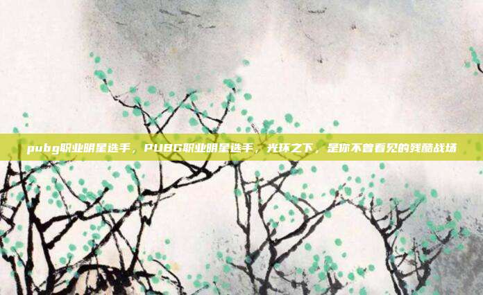 pubg职业明星选手，PUBG职业明星选手，光环之下，是你不曾看见的残酷战场
