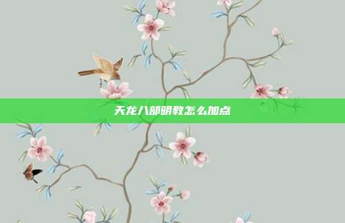 天龙八部明教怎么加点