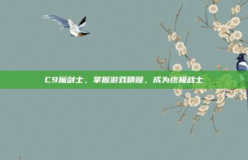 C9魔剑士，掌握游戏精髓，成为终极战士