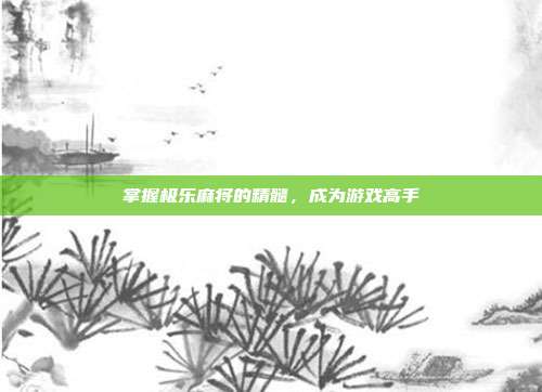 掌握极乐麻将的精髓,成为游戏高手
