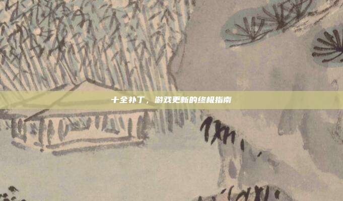 十全补丁，游戏更新的终极指南