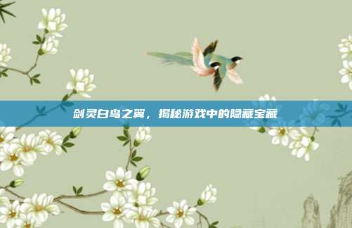剑灵白鸟之翼,揭秘游戏中的隐藏宝藏