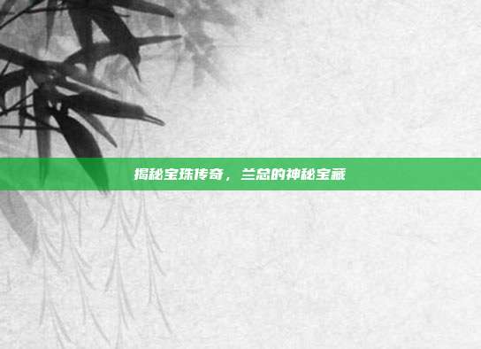 揭秘宝珠传奇,兰总的神秘宝藏