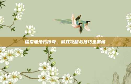 探索老地方传奇,游戏攻略与技巧全解析