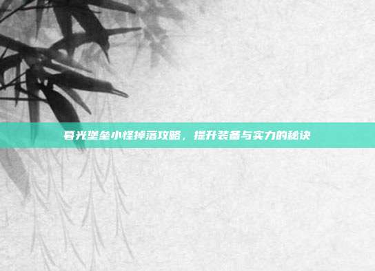 暮光堡垒小怪掉落攻略,提升装备与实力的秘诀
