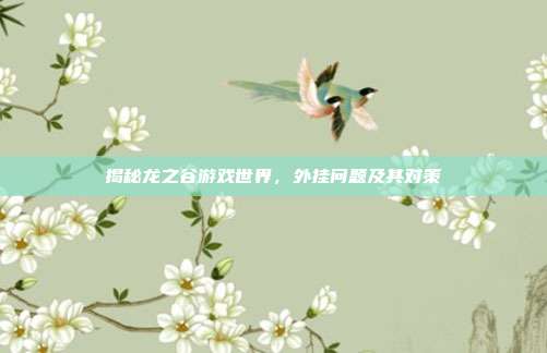 揭秘龙之谷游戏世界,外挂问题及其对策