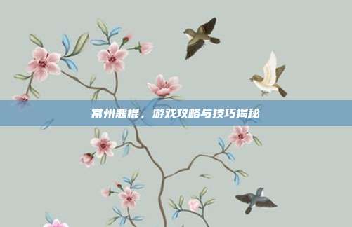 常州恶棍,游戏攻略与技巧揭秘