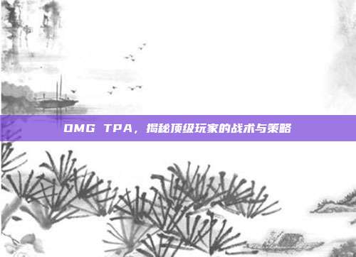 OMG TPA,揭秘顶级玩家的战术与策略