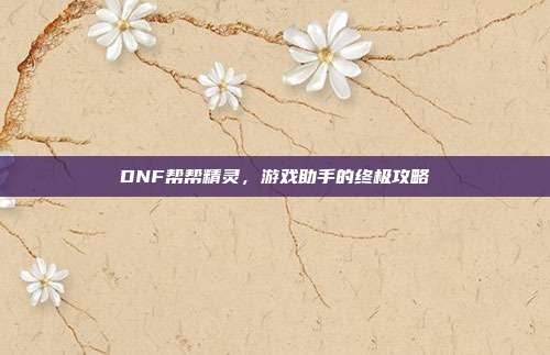 DNF帮帮精灵,游戏助手的终极攻略