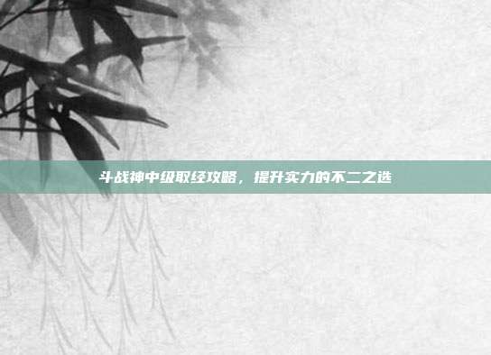 斗战神中级取经攻略,提升实力的不二之选