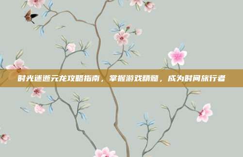 时光迷逝元龙攻略指南,掌握游戏精髓,成为时间旅行者